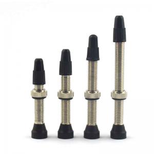 Brass bike tubeless valve stem presta FV